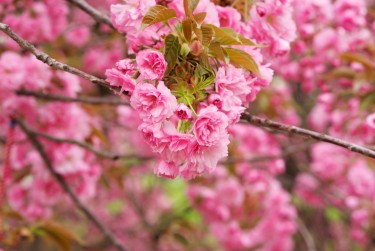 常州钟楼区线下个人借款平台一站式服务，轻松解决资金难题