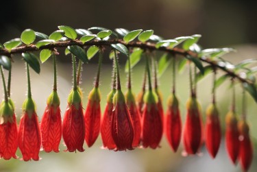 常州钟楼区零用贷短借：轻松解决临时资金需求