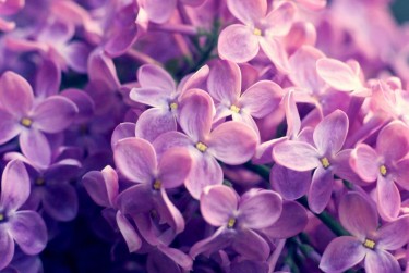 常州钟楼区企业急用钱贷款攻略：快速融资解燃眉之急